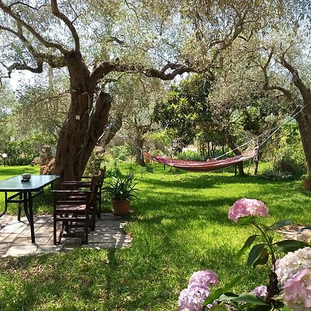 Hotel George Chrysi Ammoudia Ruang foto
