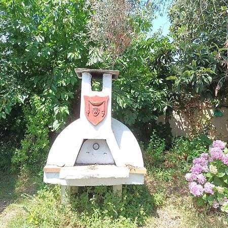 Hotel George Chrysi Ammoudia Ruang foto