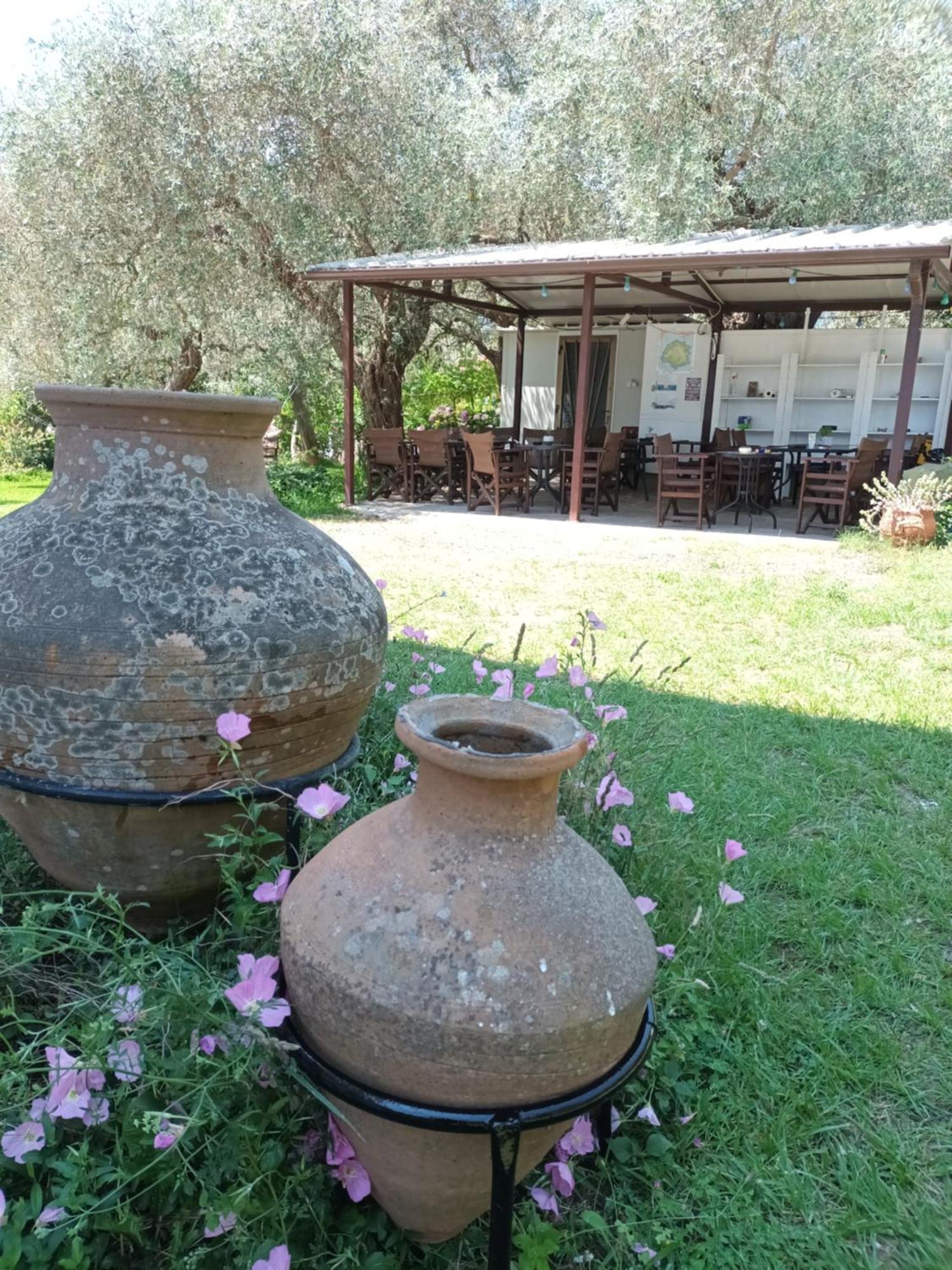 Hotel George Chrysi Ammoudia Ruang foto