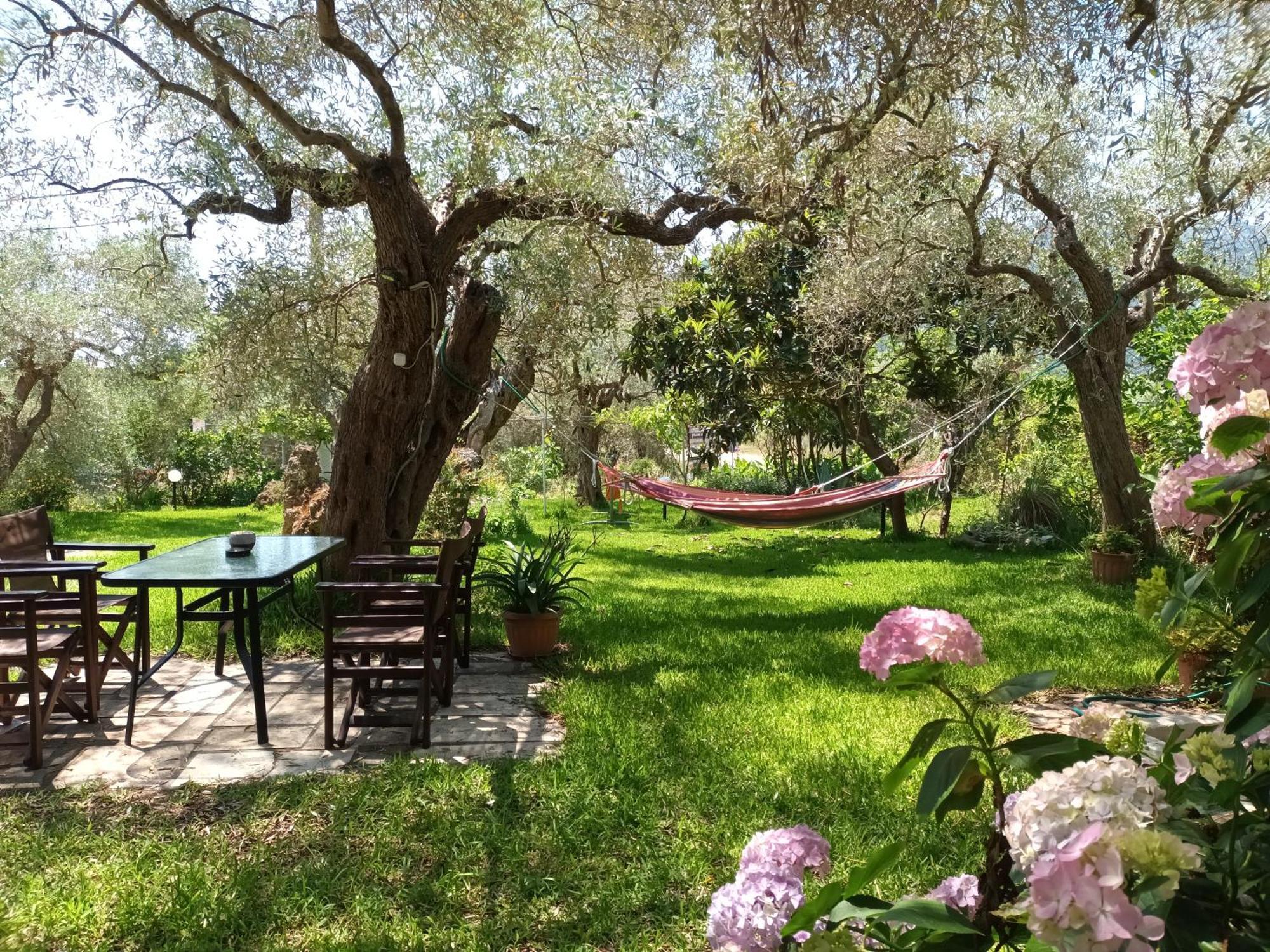Hotel George Chrysi Ammoudia Ruang foto