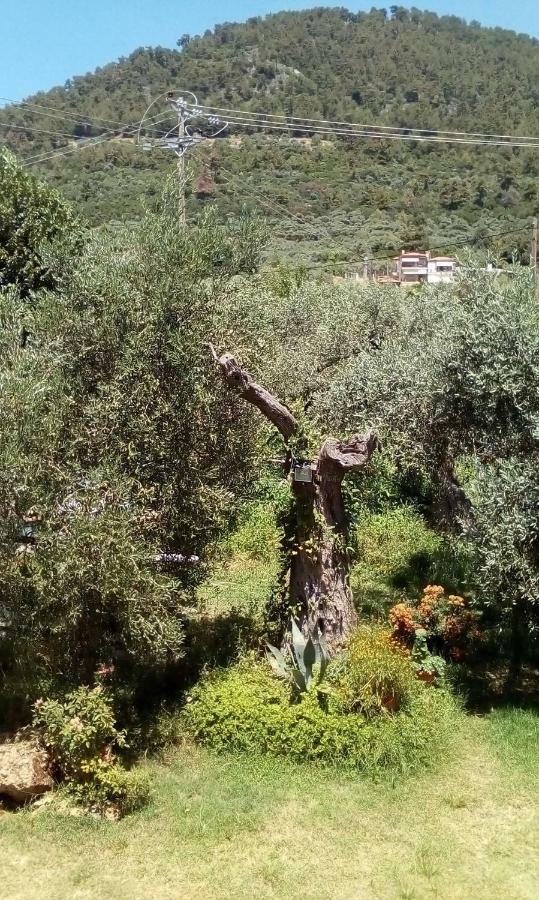 Hotel George Chrysi Ammoudia Bagian luar foto